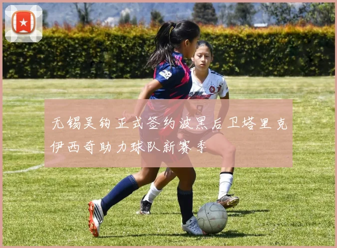 无锡吴钩正式签约波黑后卫塔里克伊西奇助力球队新赛季