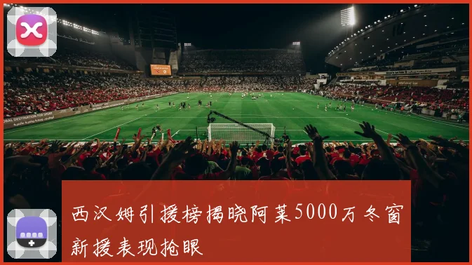 西汉姆引援榜揭晓阿莱5000万冬窗新援表现抢眼
