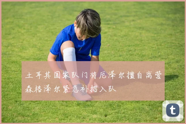 土耳其国家队门将厄泽尔擅自离营森格泽尔紧急补招入队
