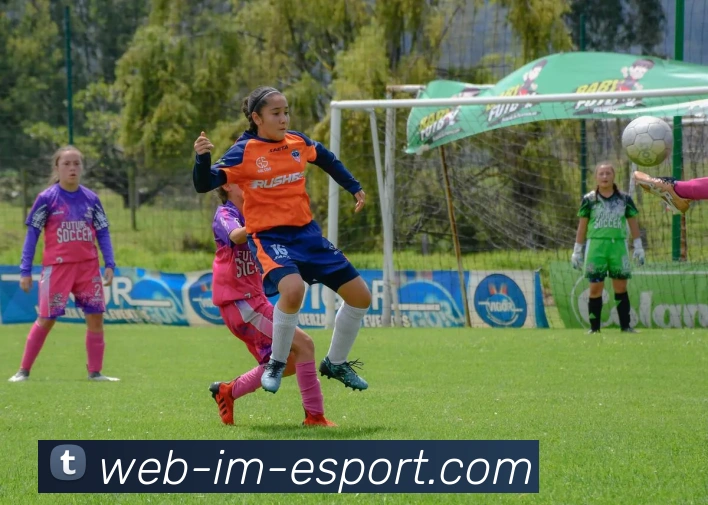 IM电竞平台生态图