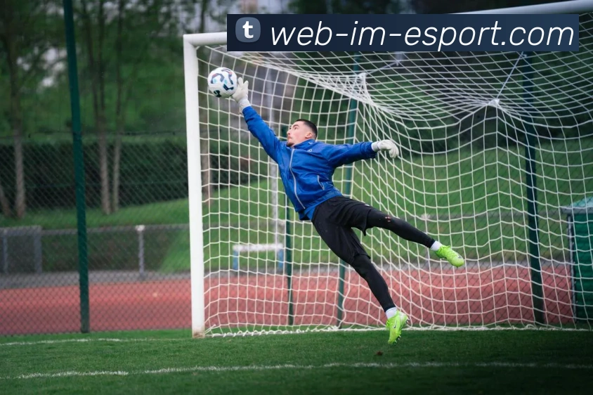 IM电竞APP 封面图